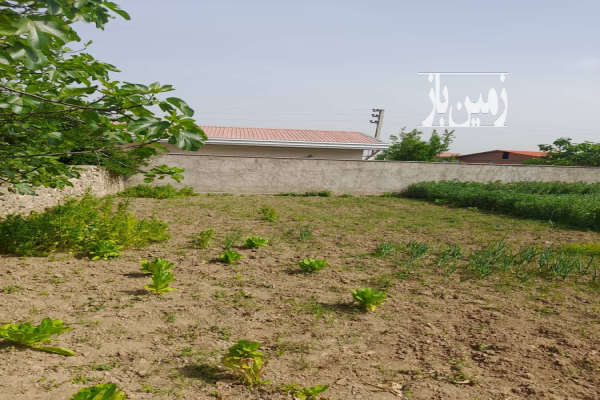 فروش زمین مسکونی شمال ۲۳۱ متر بهشهر روستای ولمازو-4