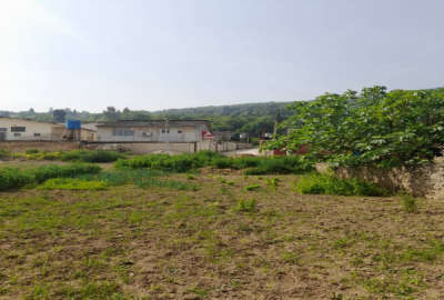 فروش زمین مسکونی شمال ۲۳۱ متر بهشهر روستای ولمازو
