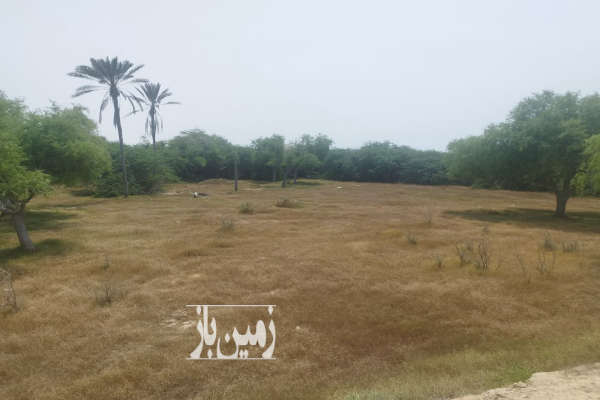 فروش زمین هرمزگان ۱۹۶۸ متر قشم روستای کندالو-1