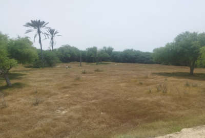 فروش زمین هرمزگان ۱۹۶۸ متر قشم روستای کندالو