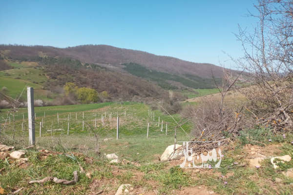 فروش زمین باغ کشاورزی شمال ۴۰۰ متر کیاسر روستای خلرد-1