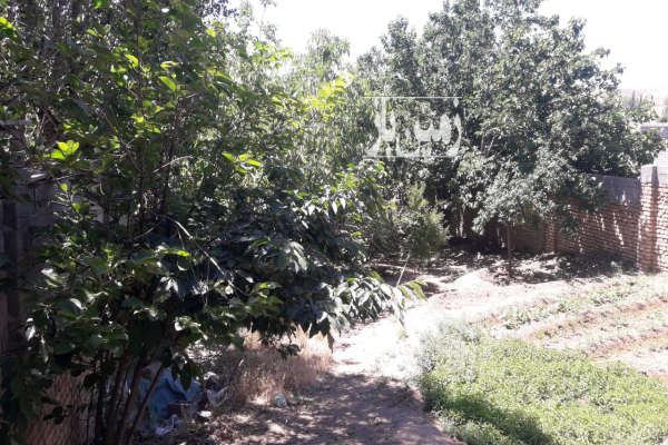 فروش زمین مسکونی تهران ۶۰۰ متر بومهن-3