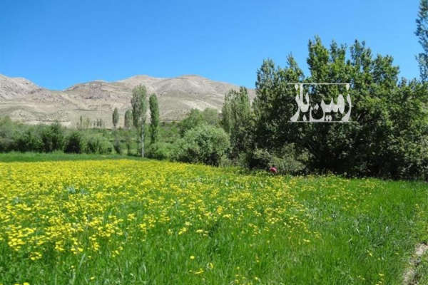 فروش زمین کشاورزی تهران ۳۳۳۳ متر فیروزکوه دشت کلفور-1