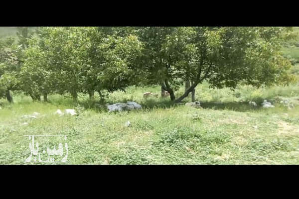 فروش زمین کشاورزی آذربایجان شرقی ۱۸۰۰ متر تبریز روستای سفیده خوان-2