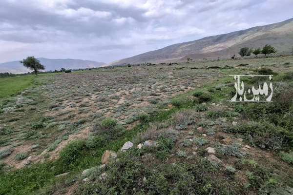 فروش زمین کشاورزی شمال ۲۲۱۵ متر نوشهر کجور صالحان-1