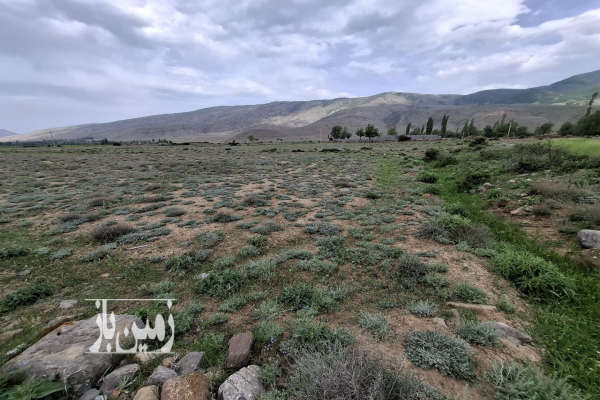 فروش زمین کشاورزی شمال ۲۲۱۵ متر نوشهر کجور صالحان-3