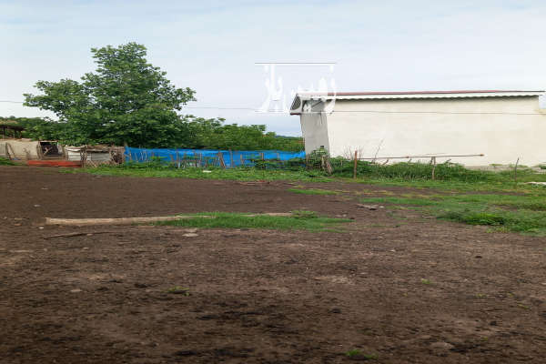 زمین ۲۵۰ متر رستم آباد روستای حلیم جان-2