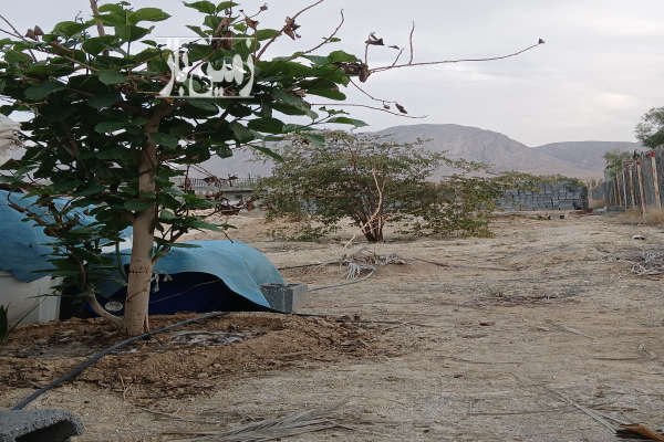 باغ شهری لطیفی ۱۰۰۰ متر زمین در لار-3