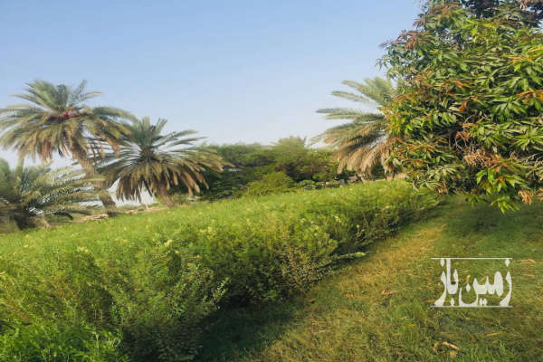 زمین کشاورزی ۷۵۰۰۰ متر بندرعباس روستای چاهستان با چاه آب-1