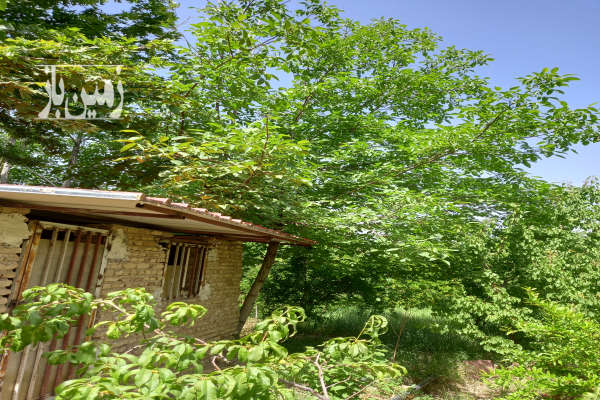 باغ ۱۴۵ متری در دلیجان روستای چنارستان استخردار-2