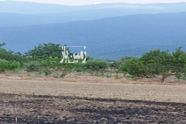 زمین کشاورزی باغی ۳۳۰۰ متر روستای کارکنده کردکوی-2