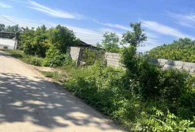 زمین باغی فروشی ۴۲۳ متر گلوگاه بابل روستای وليک بندپی شرقی