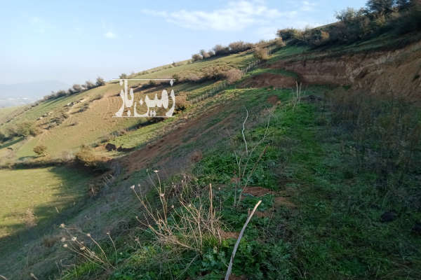 زمین زراعی و مسکونی در روستای کلاته توابع رودبار-2