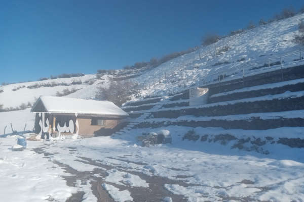 زمین زراعی و مسکونی در روستای کلاته توابع رودبار-3