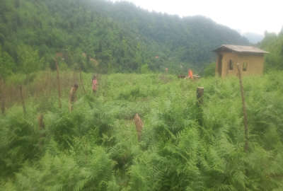 زمین مسکونی روستای ویسرود احمدسرگوراب