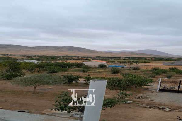 گوار مزرغه شایگان زمین کشاورزی از ۳۰۰ متر-3