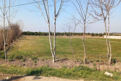 زمین مسکونی ۱۳۰۰متر در روستای برارده