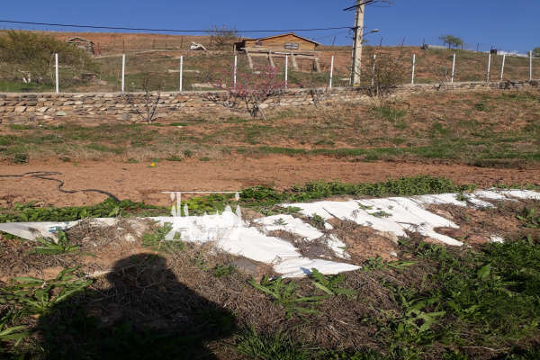 ۳۰۰متر زمین چهاردیواری در روستای وشته-3