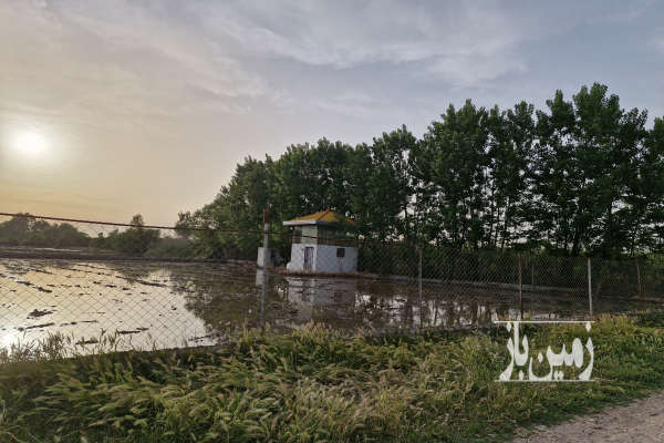 ۵۵۰۰ متر زمین زارعی دشت ناز روستای قندارخیل-4