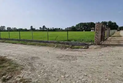 زمین زارعی دشت ناز روستای قندارخیل ۵۵۰۰ متر