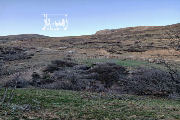 زمین باغی با درخت فندق وگردو رانکوه درکنار جاده اصلی روستا-2