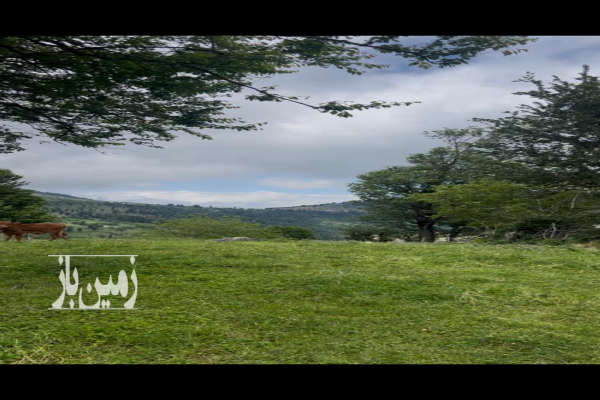 زمین ییلاقی مسکونی با ویو ابدی روستای سنگده-1