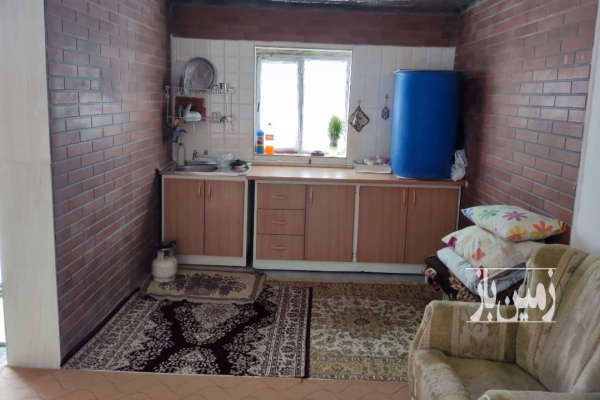 باغ محصور همراه اتاق درختان مثمر ۸ ساله ۹۰۰ متر زمین-4