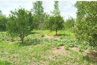 زمین مسکونی ۲۰۰ متری واقع داخل بافت روستای هفتن