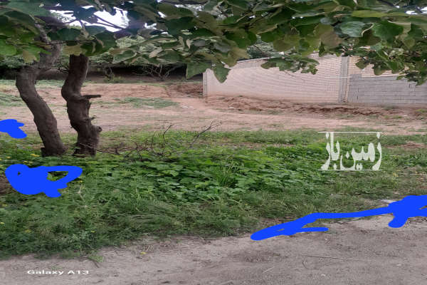 زمینی برای ساخته ساز محله اله دره ۲۰۰ متری فروشی-4