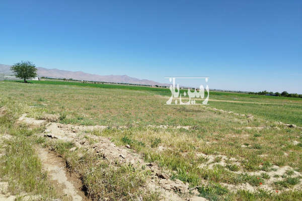 زمین ویلایی مرزیجران ۸۵۰ متر-4
