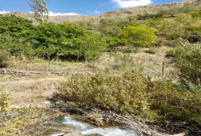 زمین کشاورزی منطقه خوش آب و هوای رودبارقصران آبنیک دارای پلاک ثبتی