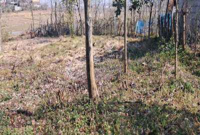 زمین مسکونی روستای مهربن با مشتری واقعی راه میام