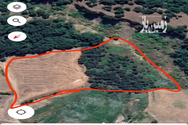زمین باغ زیتون زیبا روستای ده حسین کرد ۱۵۰۰۰ متر-2