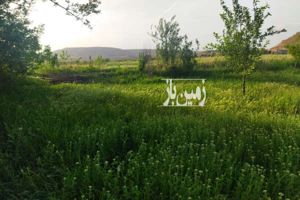 زمین در روستایی که به متراژه ۱۱هزار متر کشاورزی-1
