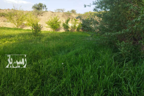 زمین در روستایی که به متراژه ۱۱هزار متر کشاورزی-2
