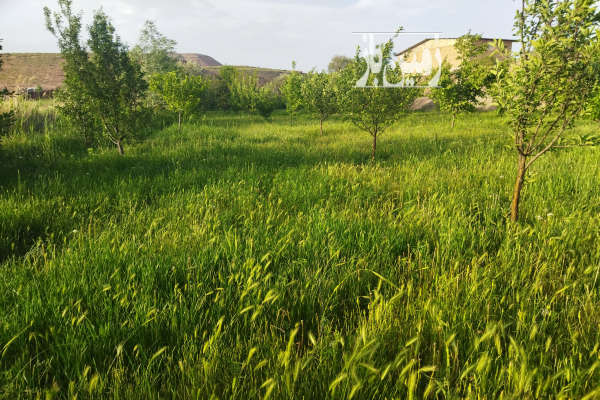 زمین در روستایی که به متراژه ۱۱هزار متر کشاورزی-3