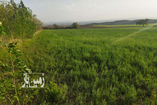 زمین در روستایی که به متراژه ۱۱هزار متر کشاورزی-4