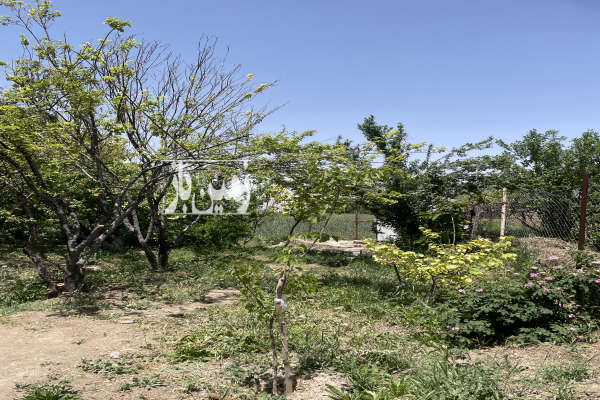 خونه باغ در روستای دیزیجان ۳۰۰ متری-4