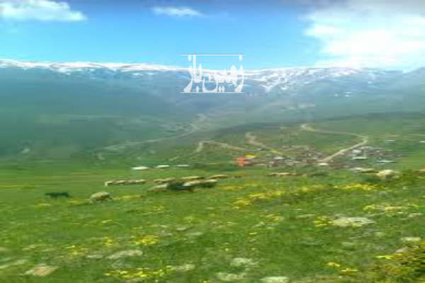 ۴۰۰۰ متر زمین واقع در ییلاق دهمیان باچشم اندازی زیباوبکر-2