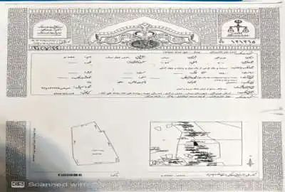 زمین مسکونی در علی اباد میناب با سند تک برگ ۱۶۵۰۰ متر