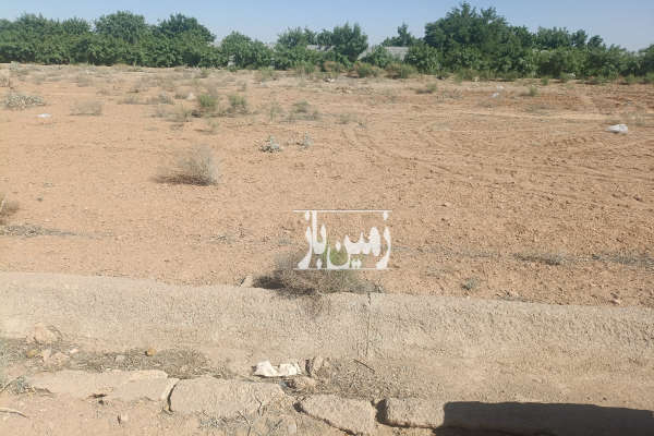 ۱۰۰۰منرزمین کشاورزی دارای سندتک برگ با۱ساعت و نیم سهمیه اب-1