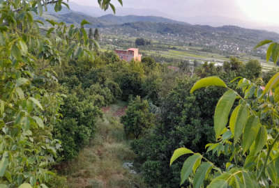 زمین با بافت مسکونی در بهترین موقعیت روستای بالف کلا