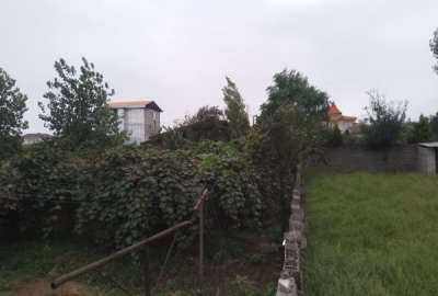 زمین مسکونی در روستای کارکو شهر شیرود