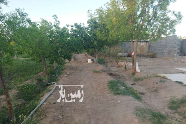 باغ حصار شده ۵۰۰۰ متر دشت بجد بیرجند-1