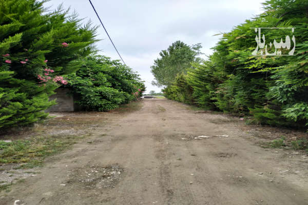 زمین مسکونی ۲۸۳ متر محمودآباد روستای آزادمون-1