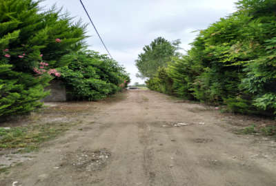 زمین مسکونی ۲۸۳ متر محمودآباد روستای آزادمون