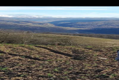 زمین ۳۰۰ متری در روستای ییلاقی محمدآباد