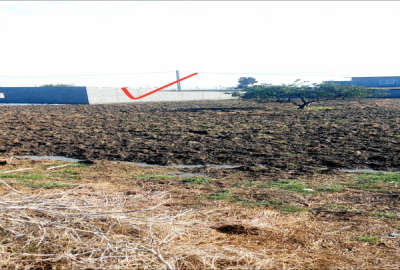 ۳۰۰متر زمین باغی مسکونی د جاده دریا