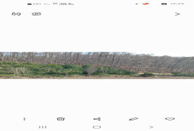 زمین مسکونی ۱۳۰۰ متری جای دنج و آروم