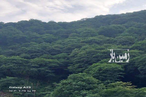 زمین طرح هادی واقع در روستای سرشکه لاهیجان ۴۳۰ متر-1